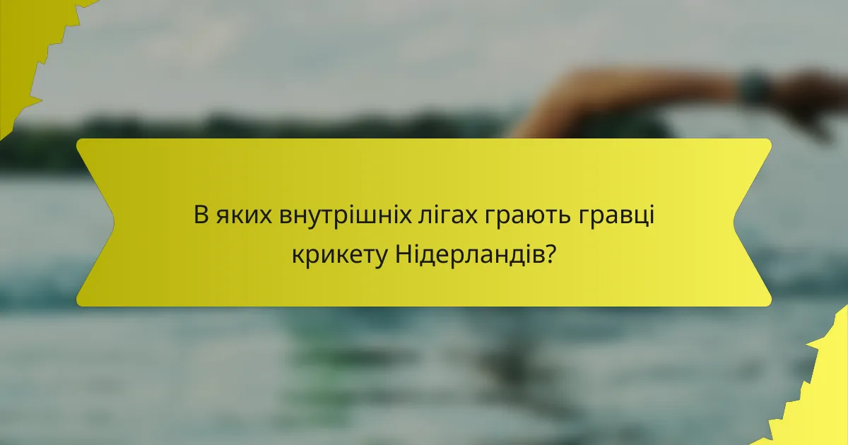 В яких внутрішніх лігах грають гравці крикету Нідерландів?